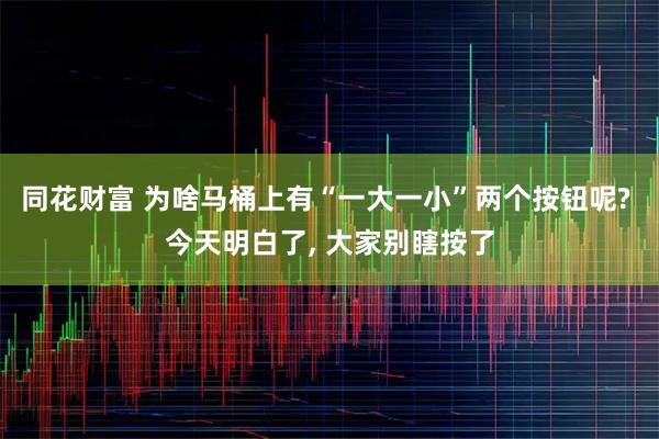 同花财富 为啥马桶上有“一大一小”两个按钮呢? 今天明白了, 大家别瞎按了