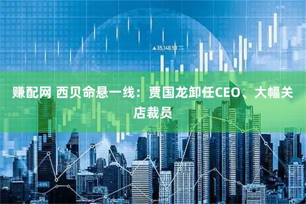 赚配网 西贝命悬一线：贾国龙卸任CEO、大幅关店裁员