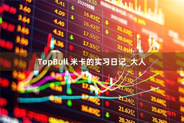 TopBull 米卡的实习日记_大人