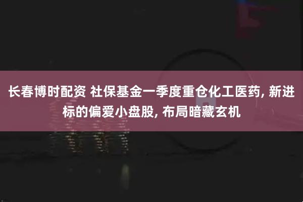 长春博时配资 社保基金一季度重仓化工医药, 新进标的偏爱小盘股, 布局暗藏玄机
