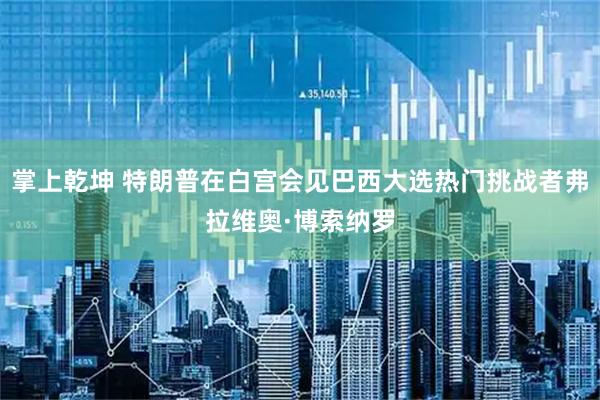 掌上乾坤 特朗普在白宫会见巴西大选热门挑战者弗拉维奥·博索纳罗